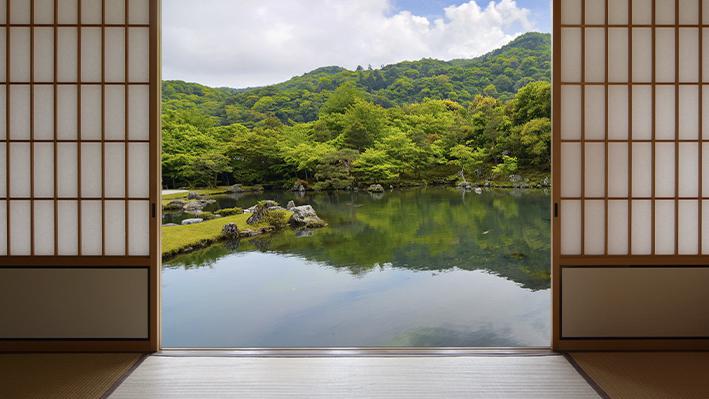 Les conserves des Mille sources à Bourganeuf se vendent jusqu'au Japon Les conserves des Mille sources à Bourganeuf se vendent jusqu'au Japon
